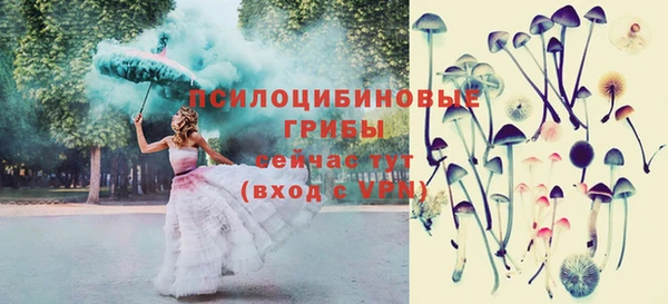мдпв Баксан