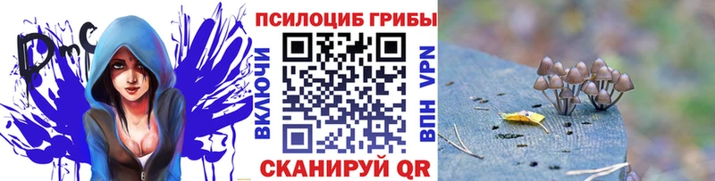 Галлюциногенные грибы прущие грибы  Михайловск 