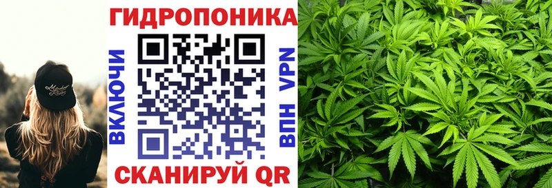 Бошки Шишки индика это наркотические препараты Михайловск